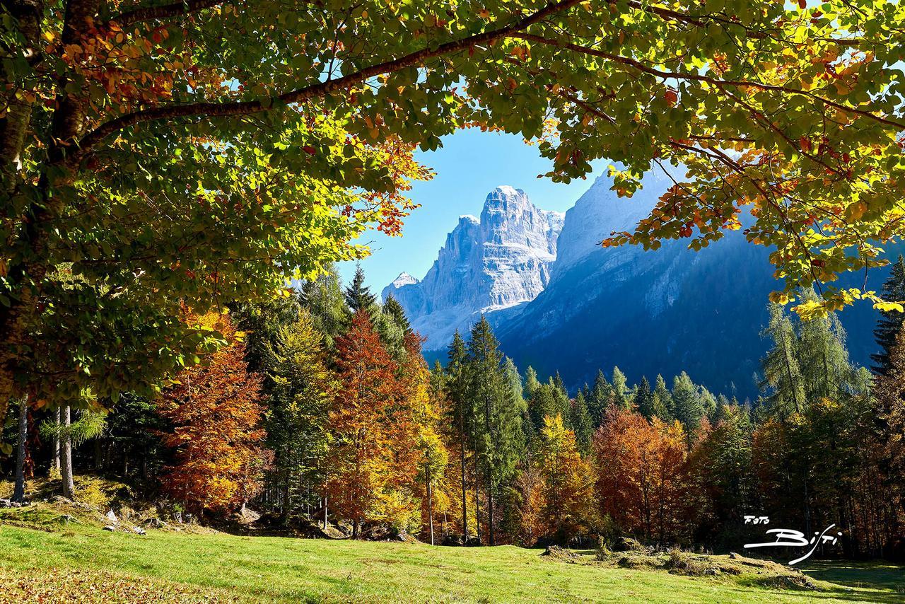 Chalet Campiglio Doss Madonna Exterior foto