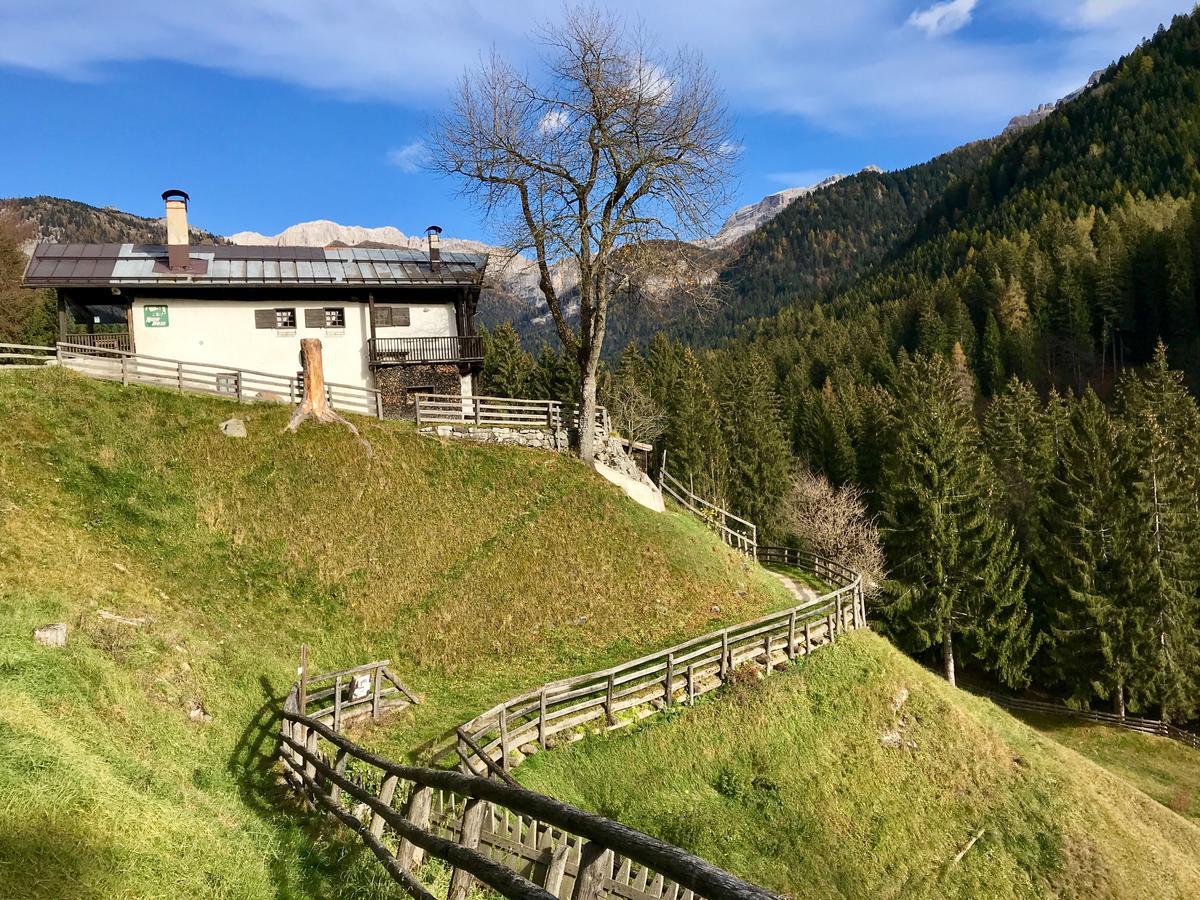 Chalet Campiglio Doss Madonna Exterior foto