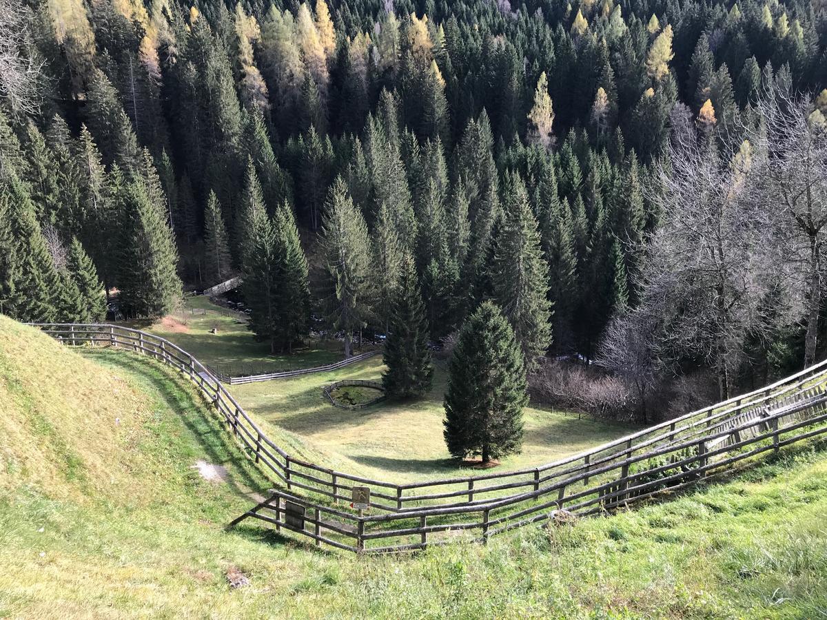 Chalet Campiglio Doss Madonna Exterior foto