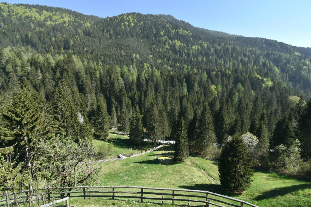 Chalet Campiglio Doss Madonna Exterior foto